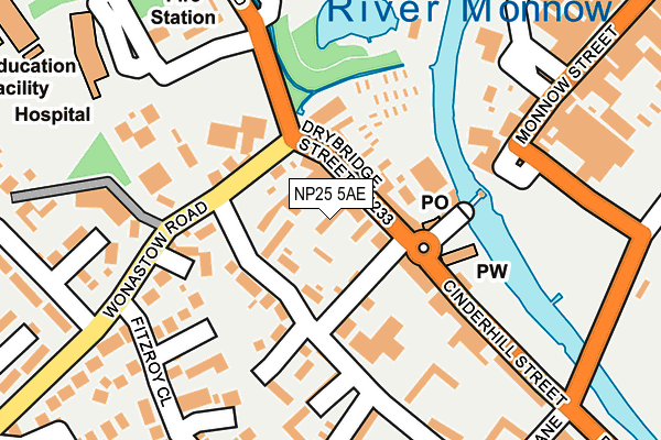 NP25 5AE map - OS OpenMap – Local (Ordnance Survey)