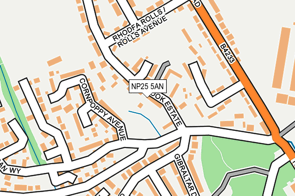 NP25 5AN map - OS OpenMap – Local (Ordnance Survey)