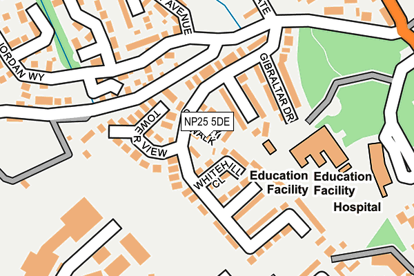 NP25 5DE map - OS OpenMap – Local (Ordnance Survey)