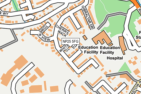 NP25 5FG map - OS OpenMap – Local (Ordnance Survey)