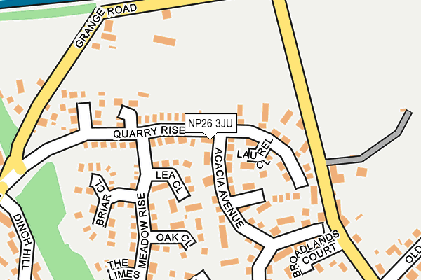 NP26 3JU map - OS OpenMap – Local (Ordnance Survey)
