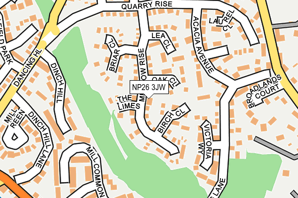 NP26 3JW map - OS OpenMap – Local (Ordnance Survey)