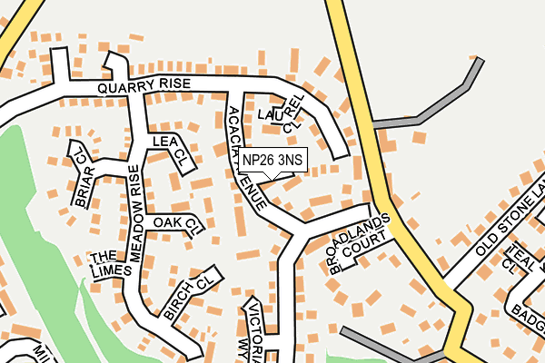 NP26 3NS map - OS OpenMap – Local (Ordnance Survey)