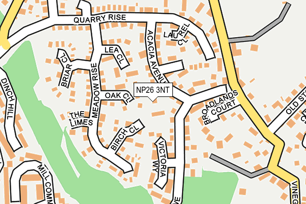 NP26 3NT map - OS OpenMap – Local (Ordnance Survey)