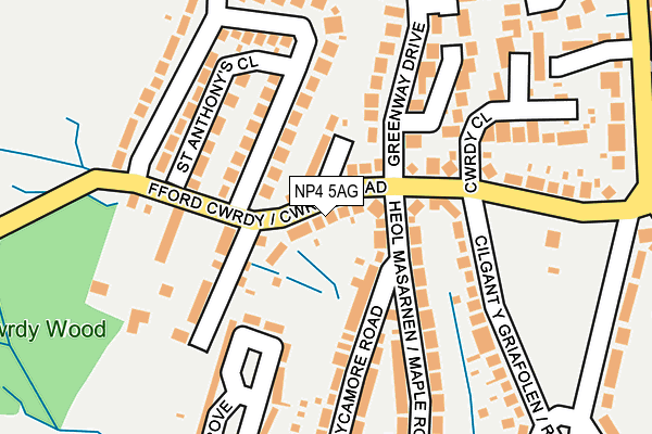 NP4 5AG map - OS OpenMap – Local (Ordnance Survey)