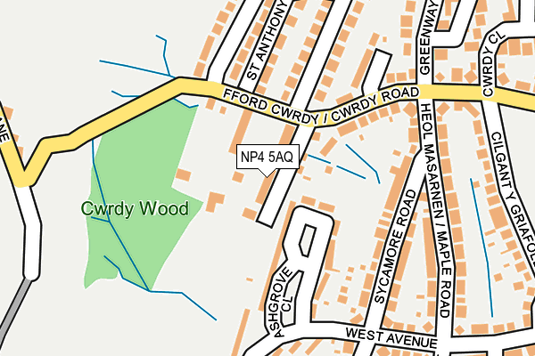 NP4 5AQ map - OS OpenMap – Local (Ordnance Survey)