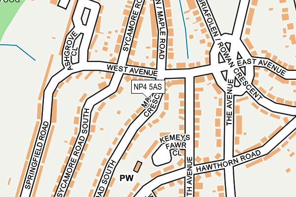 NP4 5AS map - OS OpenMap – Local (Ordnance Survey)