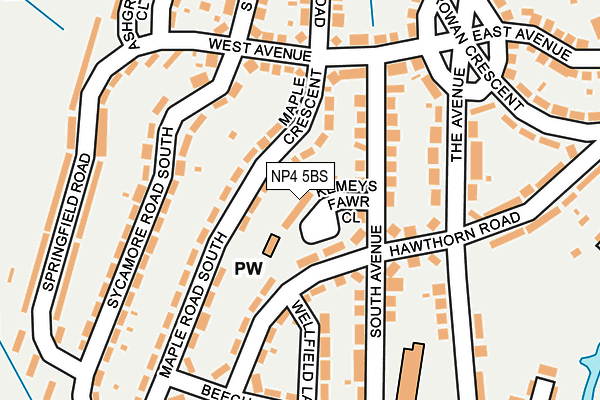 NP4 5BS map - OS OpenMap – Local (Ordnance Survey)