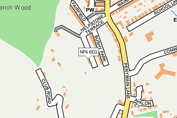 NP4 6EG map - OS OpenMap – Local (Ordnance Survey)