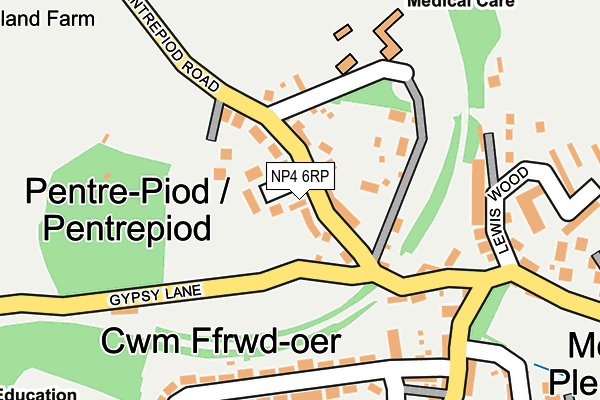 NP4 6RP map - OS OpenMap – Local (Ordnance Survey)