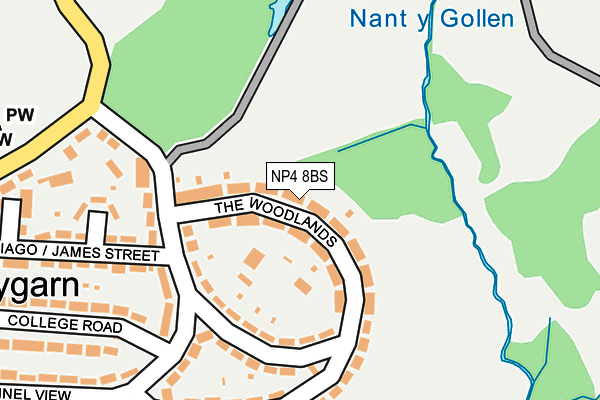 NP4 8BS map - OS OpenMap – Local (Ordnance Survey)