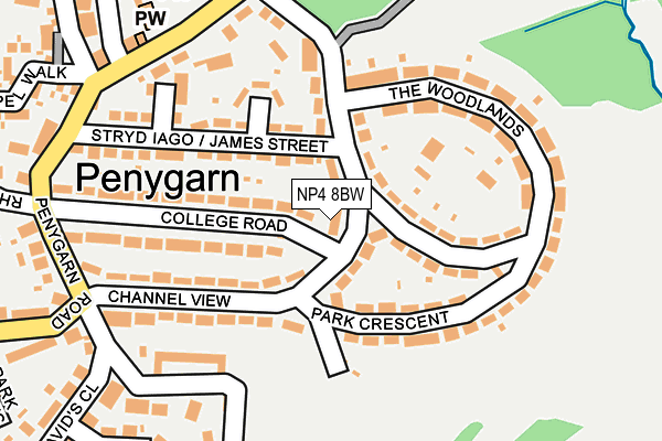 NP4 8BW map - OS OpenMap – Local (Ordnance Survey)