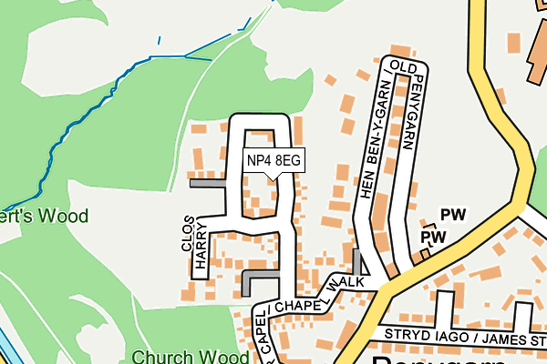 NP4 8EG map - OS OpenMap – Local (Ordnance Survey)