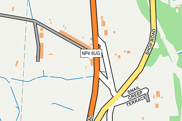 NP4 8UG map - OS OpenMap – Local (Ordnance Survey)