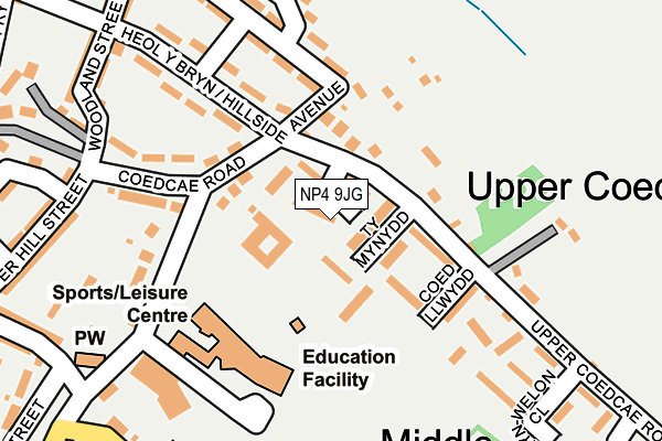 NP4 9JG map - OS OpenMap – Local (Ordnance Survey)