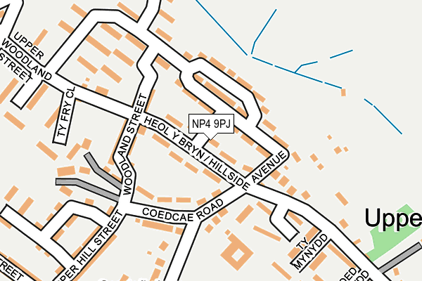 NP4 9PJ map - OS OpenMap – Local (Ordnance Survey)