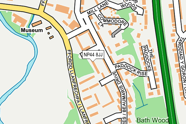 NP44 8JJ map - OS OpenMap – Local (Ordnance Survey)