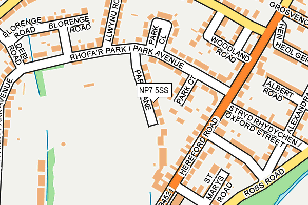 NP7 5SS map - OS OpenMap – Local (Ordnance Survey)