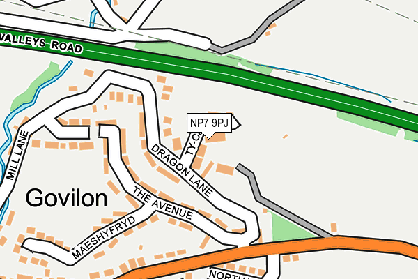 NP7 9PJ map - OS OpenMap – Local (Ordnance Survey)