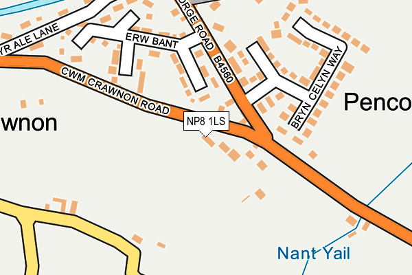 NP8 1LS map - OS OpenMap – Local (Ordnance Survey)