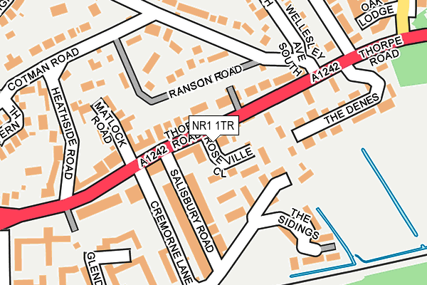 NR1 1TR map - OS OpenMap – Local (Ordnance Survey)