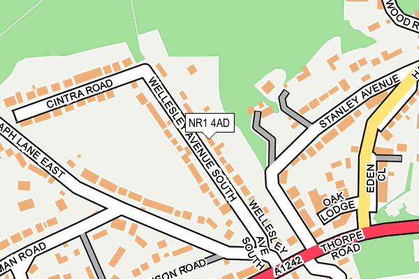 NR1 4AD map - OS OpenMap – Local (Ordnance Survey)