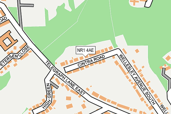 NR1 4AE map - OS OpenMap – Local (Ordnance Survey)