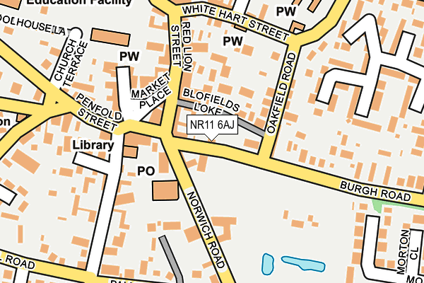 NR11 6AJ map - OS OpenMap – Local (Ordnance Survey)