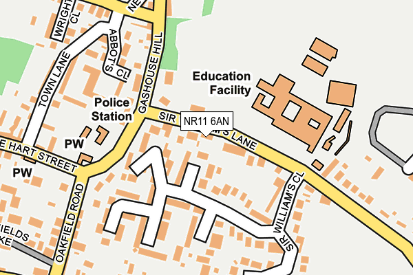 NR11 6AN map - OS OpenMap – Local (Ordnance Survey)