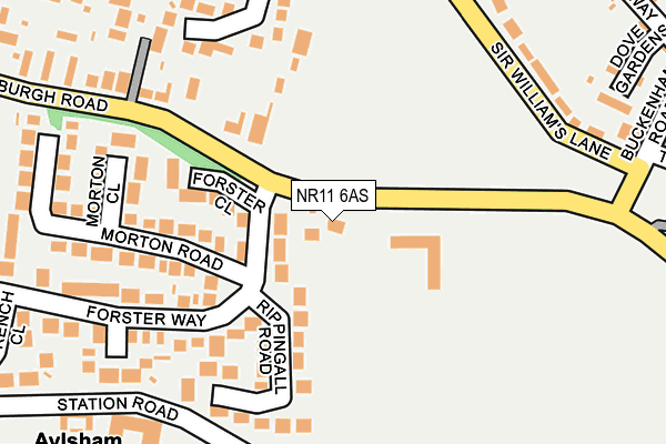 NR11 6AS map - OS OpenMap – Local (Ordnance Survey)