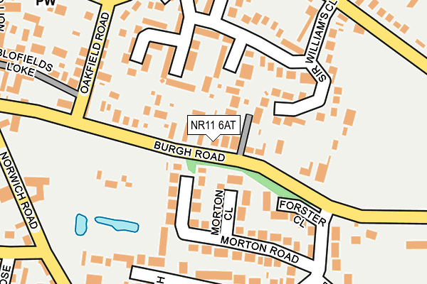 NR11 6AT map - OS OpenMap – Local (Ordnance Survey)