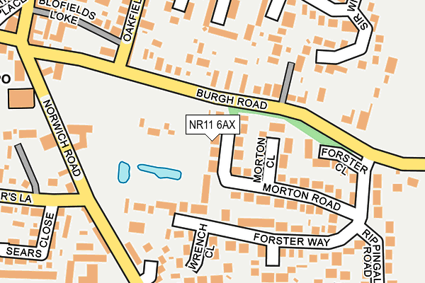 NR11 6AX map - OS OpenMap – Local (Ordnance Survey)