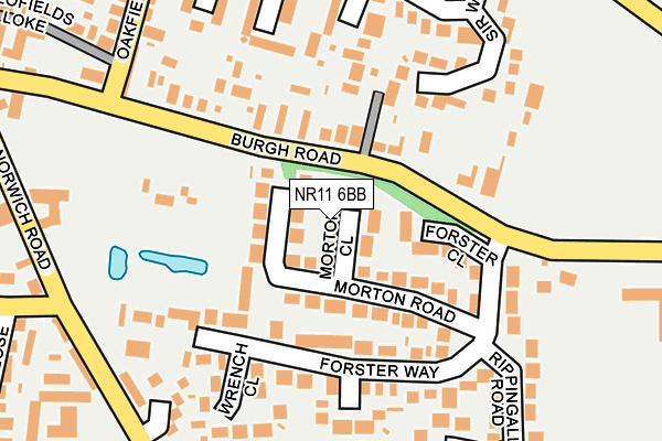 NR11 6BB map - OS OpenMap – Local (Ordnance Survey)