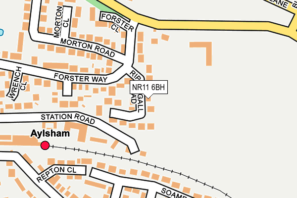 NR11 6BH map - OS OpenMap – Local (Ordnance Survey)