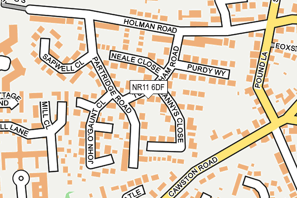 NR11 6DF map - OS OpenMap – Local (Ordnance Survey)