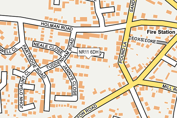 NR11 6DH map - OS OpenMap – Local (Ordnance Survey)