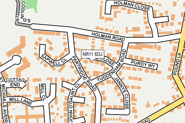 NR11 6DJ map - OS OpenMap – Local (Ordnance Survey)