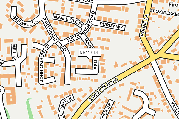NR11 6DL map - OS OpenMap – Local (Ordnance Survey)