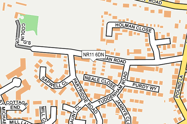 NR11 6DN map - OS OpenMap – Local (Ordnance Survey)