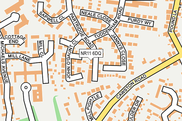 NR11 6DQ map - OS OpenMap – Local (Ordnance Survey)