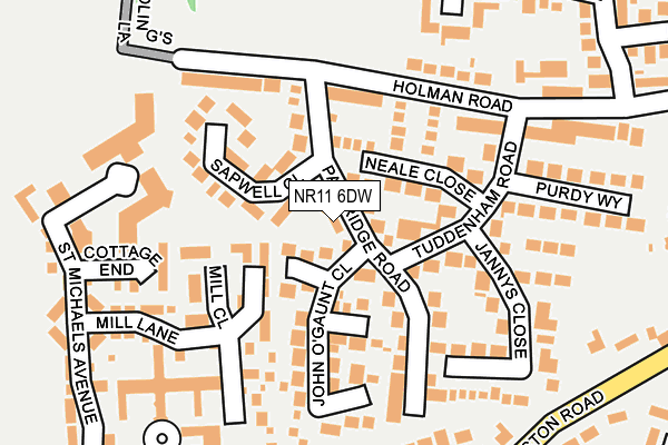 NR11 6DW map - OS OpenMap – Local (Ordnance Survey)
