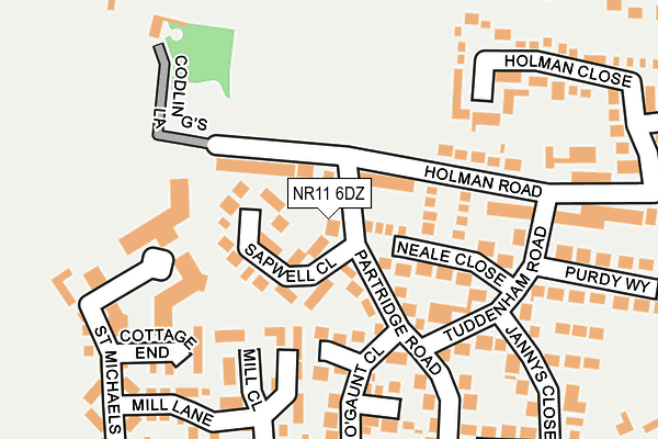 NR11 6DZ map - OS OpenMap – Local (Ordnance Survey)