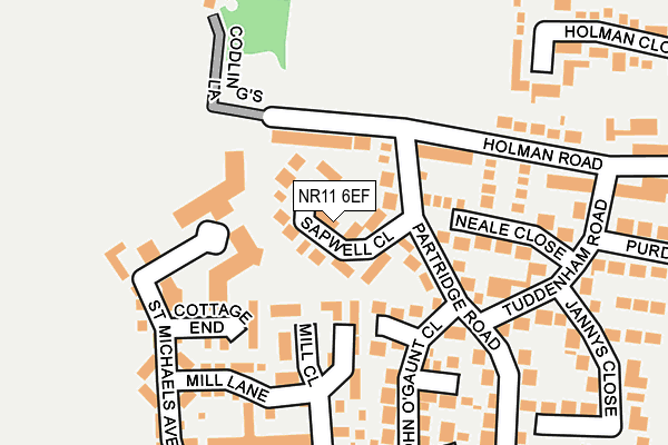 NR11 6EF map - OS OpenMap – Local (Ordnance Survey)