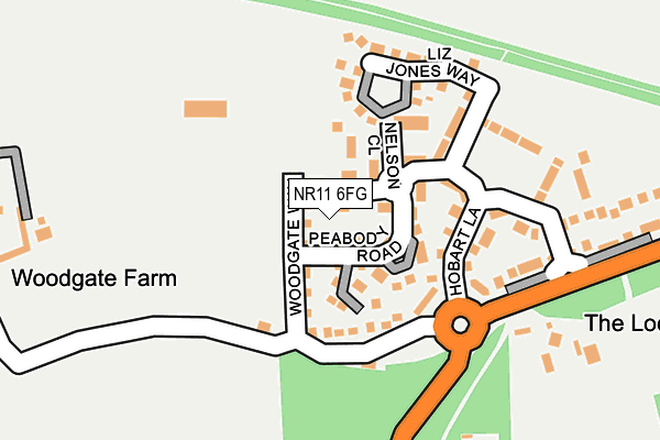 NR11 6FG map - OS OpenMap – Local (Ordnance Survey)