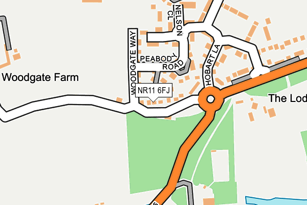 NR11 6FJ map - OS OpenMap – Local (Ordnance Survey)