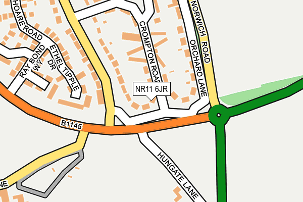 NR11 6JR map - OS OpenMap – Local (Ordnance Survey)