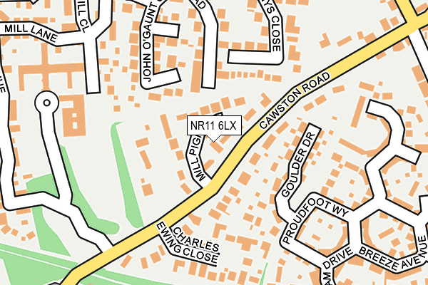 NR11 6LX map - OS OpenMap – Local (Ordnance Survey)