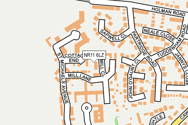 NR11 6LZ map - OS OpenMap – Local (Ordnance Survey)