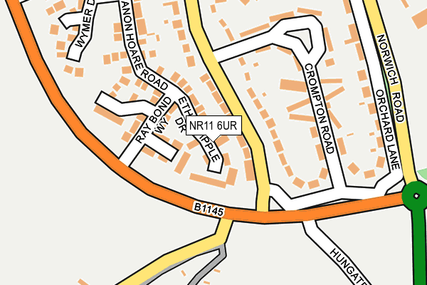NR11 6UR map - OS OpenMap – Local (Ordnance Survey)