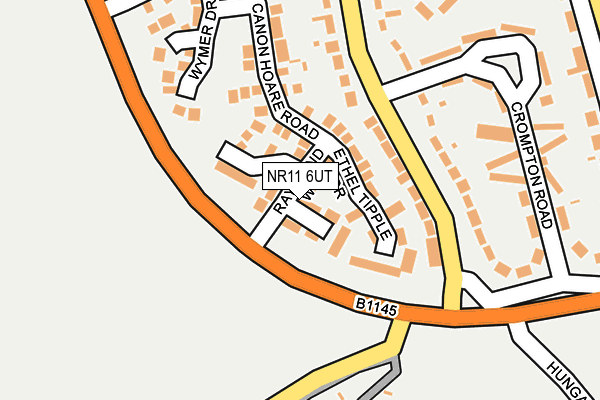 NR11 6UT map - OS OpenMap – Local (Ordnance Survey)